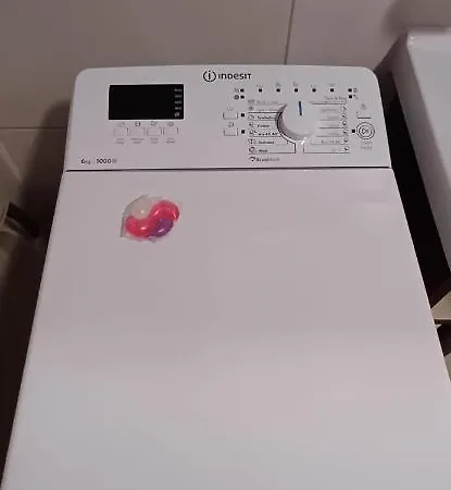 Apartament Romanian House *